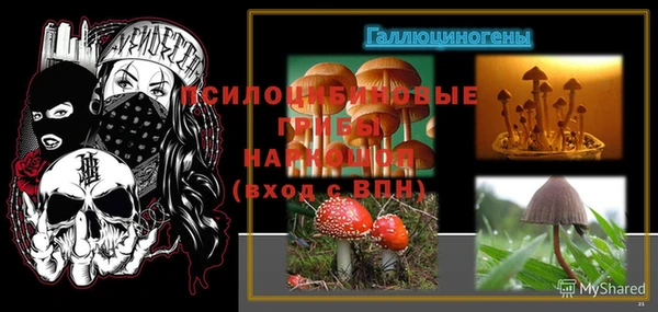 гидра Арсеньев