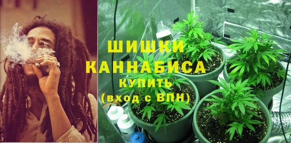 гидра Арсеньев