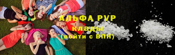 гидра Арсеньев